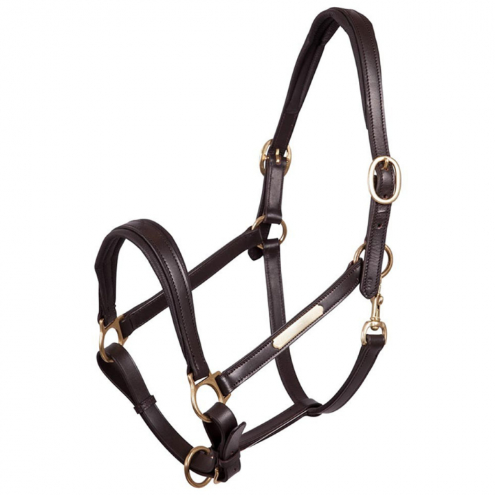 Filet en Cuir Rembourré Brun/Laiton dans le groupe Équipement cheval / Licols / Longes en cuir chez Equinest (431108BR)