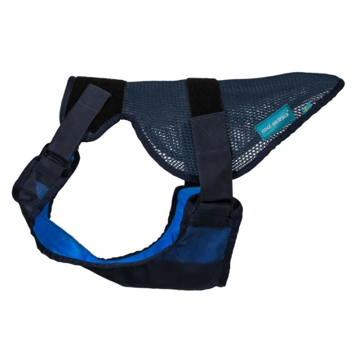Harnais pour chien rafraîchissant Cool on Track Bleu dans le groupe Chien / Colliers et laisses pour chien chez Equinest (43290300BL_r)
