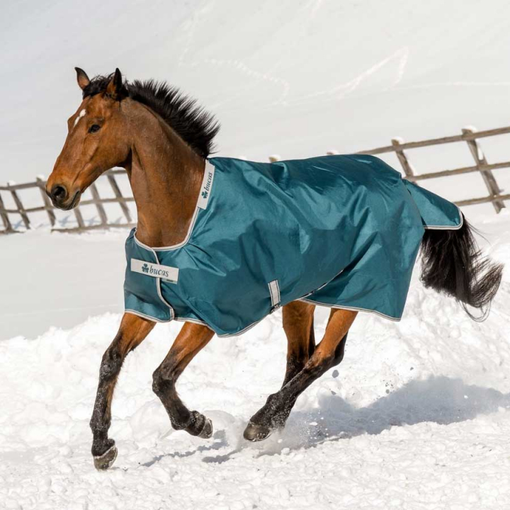 Couverture d’hiver Atlantic Turnout 200g Vert dans le groupe Couvertures cheval / Couvertures d'extérieur / Couvertures d'hiver chez Equinest (44015-07-200g-Gn_r)