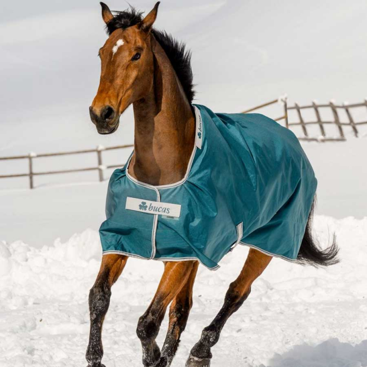 Couverture d'hiver Atlantic Turnout 400g Vert dans le groupe Couvertures cheval / Couvertures d'extérieur / Couvertures d'hiver chez Equinest (44015-07-400g-Gn_r)