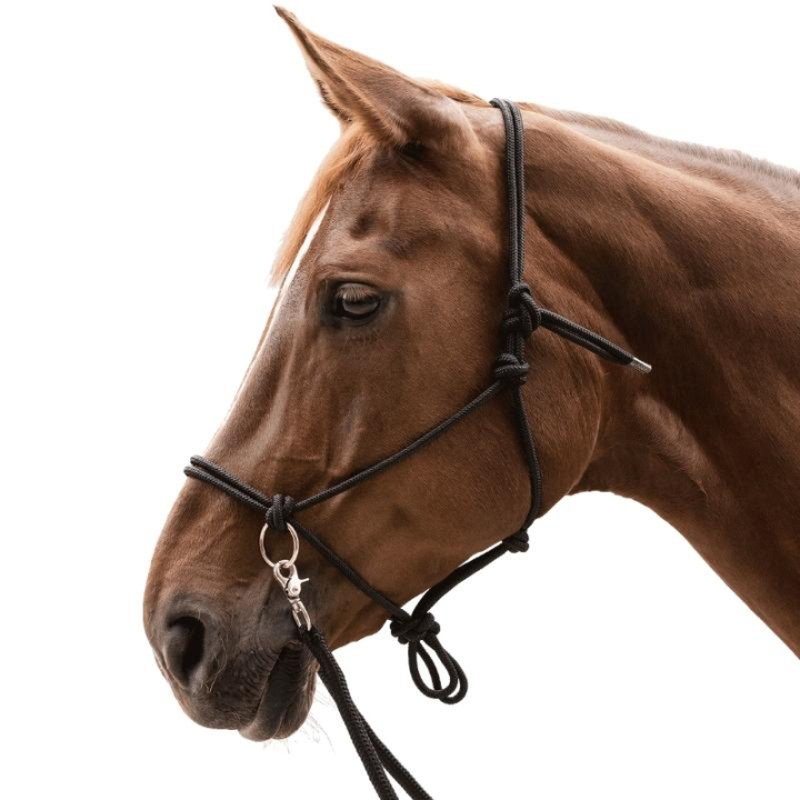 Licou en corde avec rênes Knotted Noir dans le groupe Équipement cheval / Licols / Longes en corde chez Equinest (5041801PBA_r)