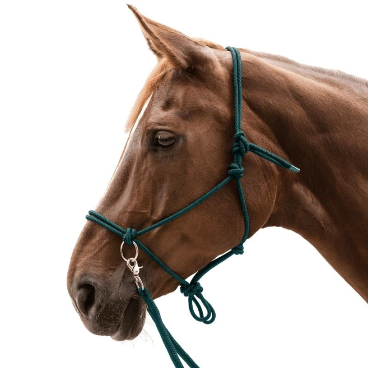 Licou en corde avec rênes Knotted Vert dans le groupe Équipement cheval / Licols / Longes en corde chez Equinest (5041864PGN_r)