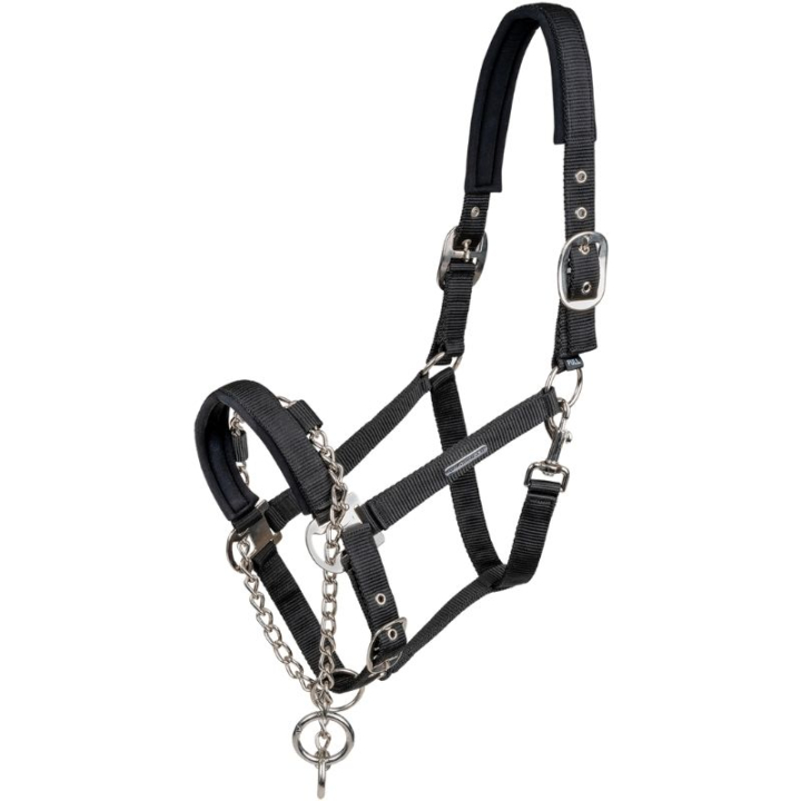 Licol Control Pro Safety Noir dans le groupe Équipement cheval / Licols / Longes en tissu et en nylon chez Equinest (5051801VBA_r)