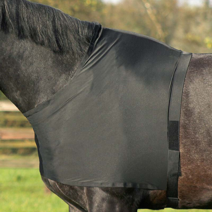Guêtres d'épaule Elastic Noir dans le groupe Couvertures cheval / Accessoires pour couvertures / Protections de Poitrail chez Equinest (5106ZWLBA_r)