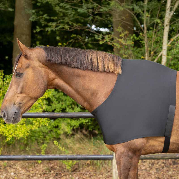 Guêtres d'épaule Elastic Noir dans le groupe Couvertures cheval / Accessoires pour couvertures / Protections de Poitrail chez Equinest (5106ZWLBA_r)