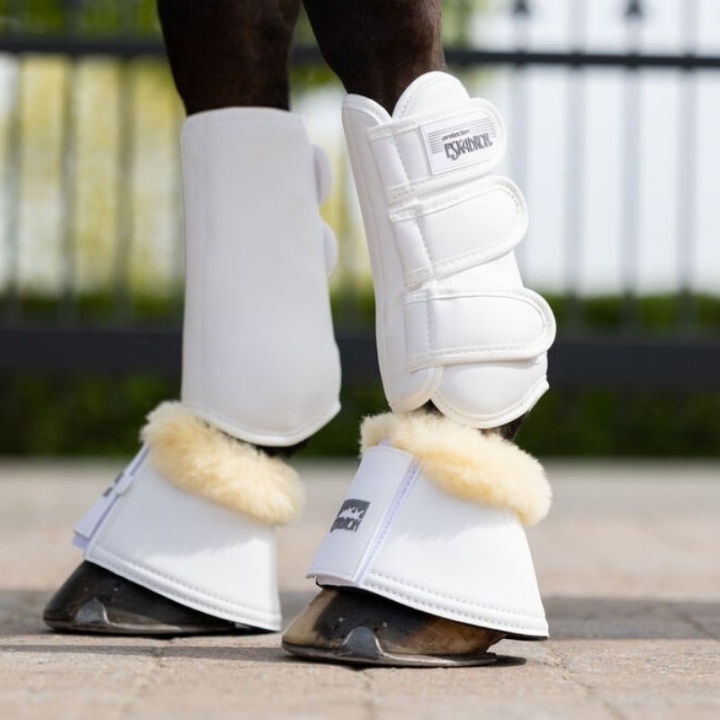 Guêtres fermées Allround Front Blanc dans le groupe Équipement cheval / Protections des Membres / Guêtres fermées & Guêtres de dressage chez Equinest (51400076WH_r)