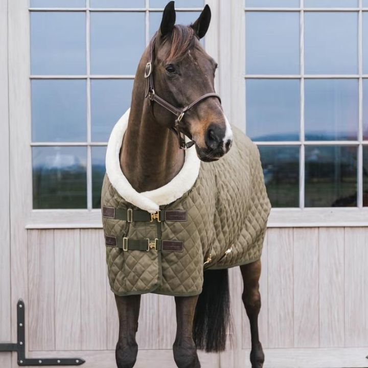Couverture de concours/Couverture d'écurie 160g Verte dans le groupe Couvertures cheval / Couvertures de compétition & de transport chez Equinest (52101LGN)