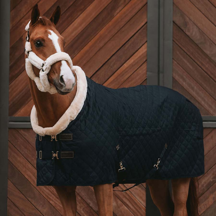 Couverture de compétition/Couverture d'écurie 160g Noir dans le groupe Couvertures cheval / Couvertures de compétition & de transport chez Equinest (52101Sv_r)