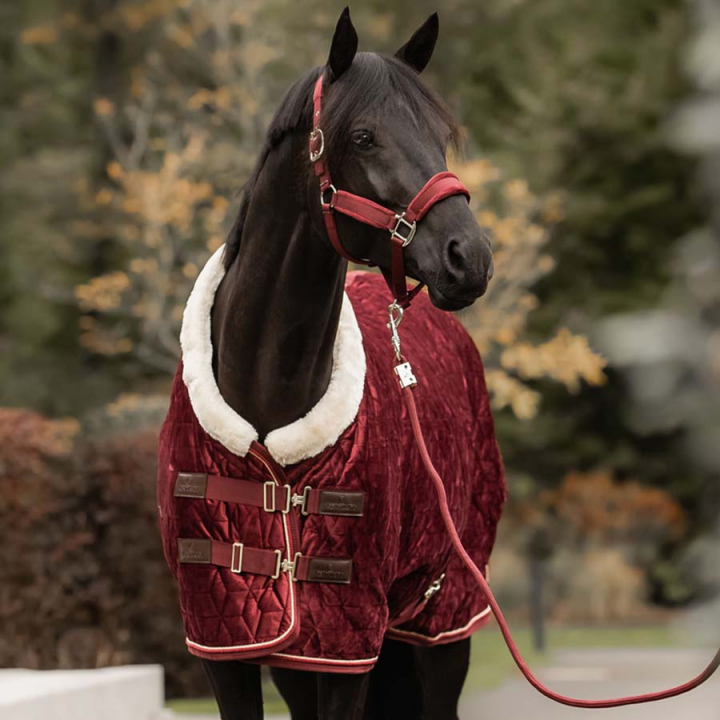 Couverture de compétition en velours Bordeaux dans le groupe Couvertures cheval / Couvertures de compétition & de transport chez Equinest (52171Vn_r)