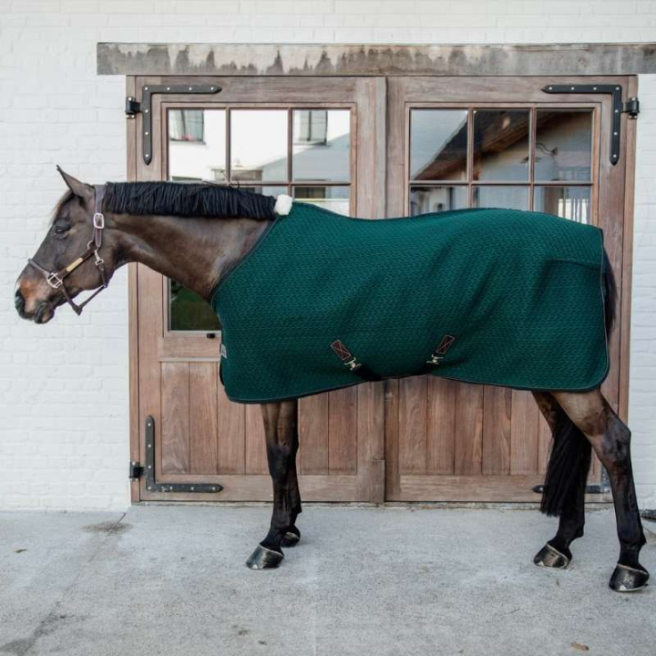 Couverture de Refroidissement 4D Spacer Vert dans le groupe Couvertures cheval / Couvertures rafraîchissantes chez Equinest (52183PGN)