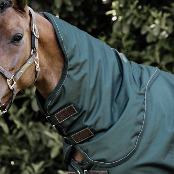 Couvre-cou All Weather Waterproof Pro 150g Vert Foncé dans le groupe Couvertures cheval / Couvre-encolures chez Equinest (52201DGN_r)