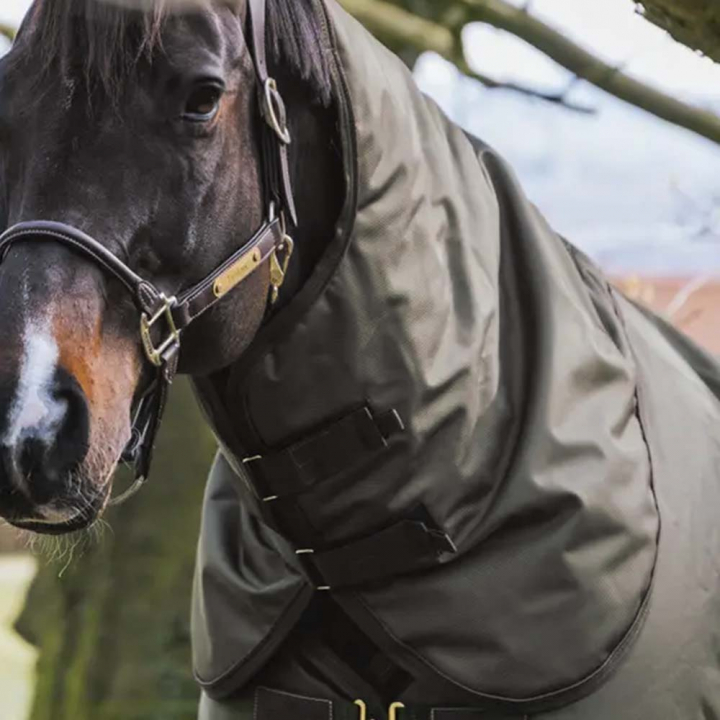 Couvre-cou All Weather Waterproof Pro 150g Vert kaki dans le groupe Couvertures cheval / Couvre-encolures chez Equinest (52201KGN_r)