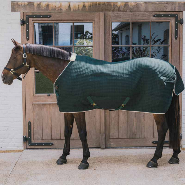 Couverture rafraîchissante PROTherm Vert foncé dans le groupe Couvertures cheval / Couvertures rafraîchissantes chez Equinest (52231DGN_r)