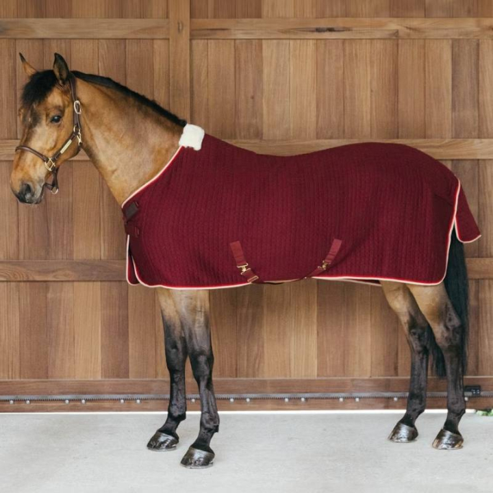 Couverture rafraîchissante PROTherm Bordeaux dans le groupe Couvertures cheval / Couvertures rafraîchissantes chez Equinest (52231RE_r)