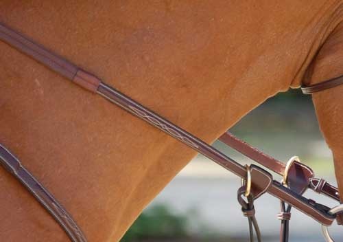 Rênes en caoutchouc avec boucle intérieure Marron dans le groupe Équipement cheval / Rênes / Rênes en caoutchouc chez Equinest (5230231_B_r)