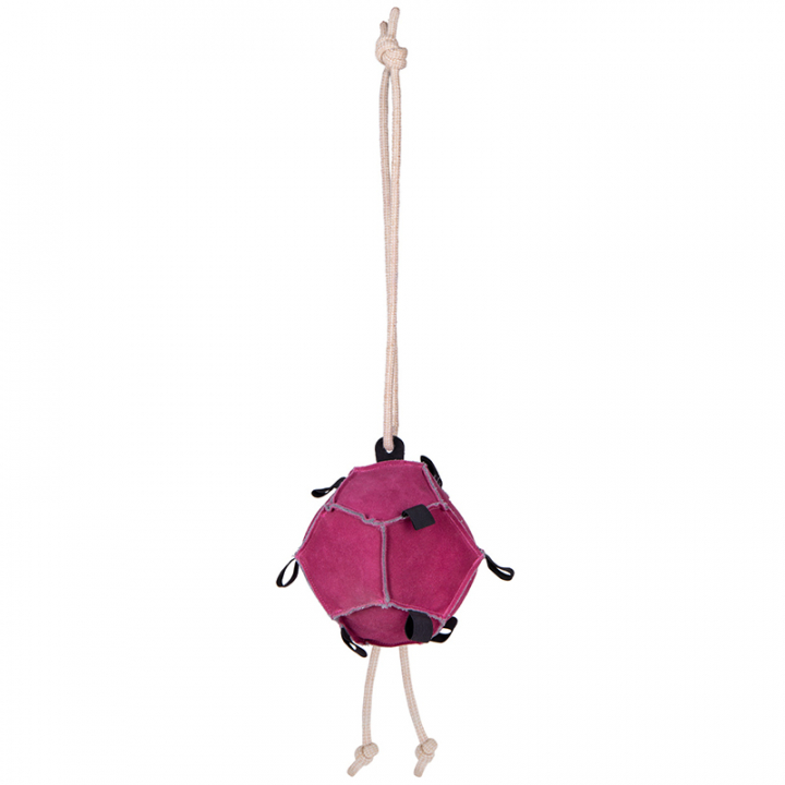 Jouet pour chevaux Balle Loop en Daim Rose dans le groupe Écurie & Pré / Jouets pour chevaux chez Equinest (5447PI)