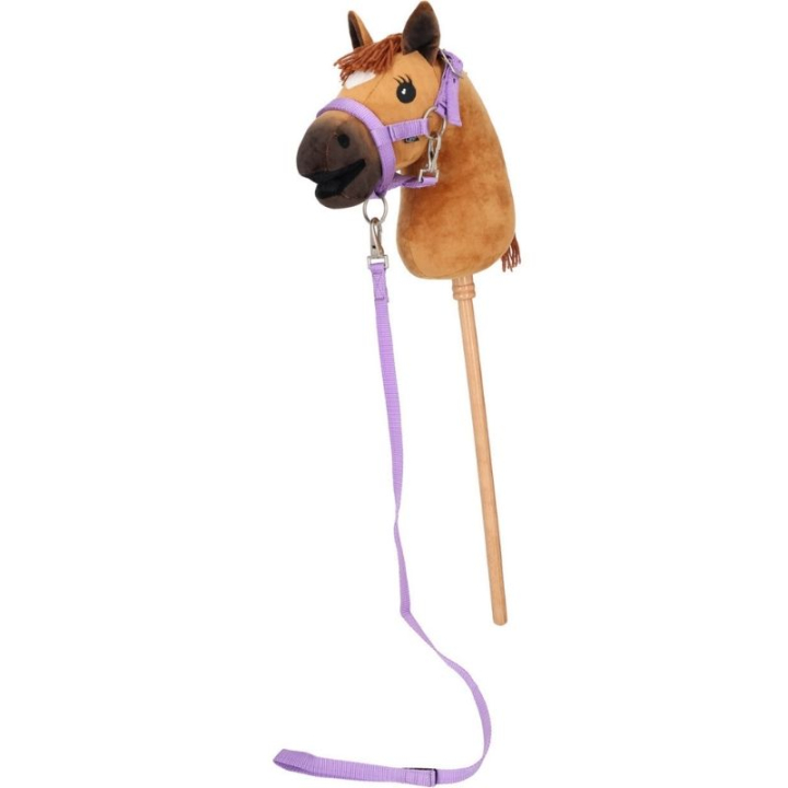 Licol et longe d'attache pour cheval-bâton Violet dans le groupe Chevaux-bâtons & Chevaux jouets / Équipement pour cheval-bâton chez Equinest (5581LIL0PU)