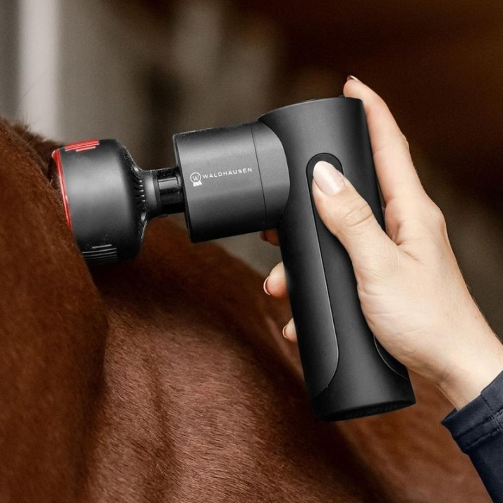 Appareil de massage Pro Hot & Cold Noir dans le groupe Produits de soins / Massage & Circulation sanguine chez Equinest (5700600BA)