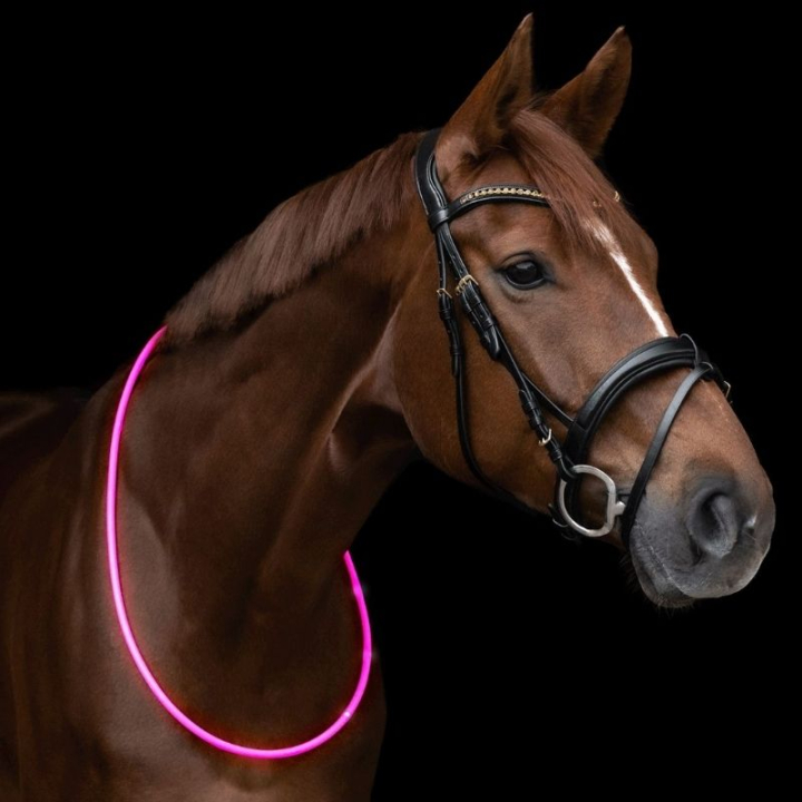 Collier d’encolure LED Light Rose dans le groupe Équipement d'équitation / Réflecteurs chez Equinest (5733431PI)
