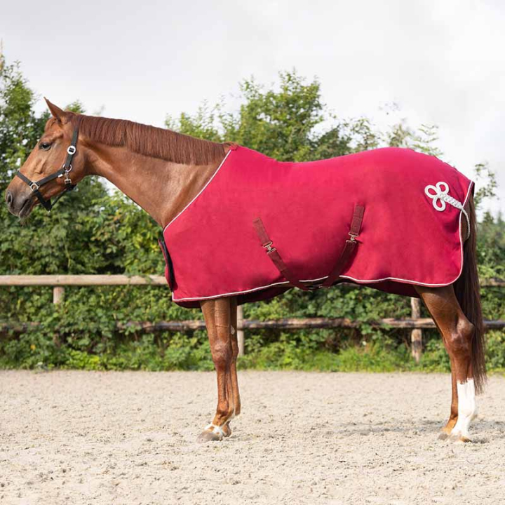 Couverture polaire Ornament Bordeaux/Argent dans le groupe Couvertures cheval / Couverture polaire & séchante chez Equinest (6014BOZI145WN_r)