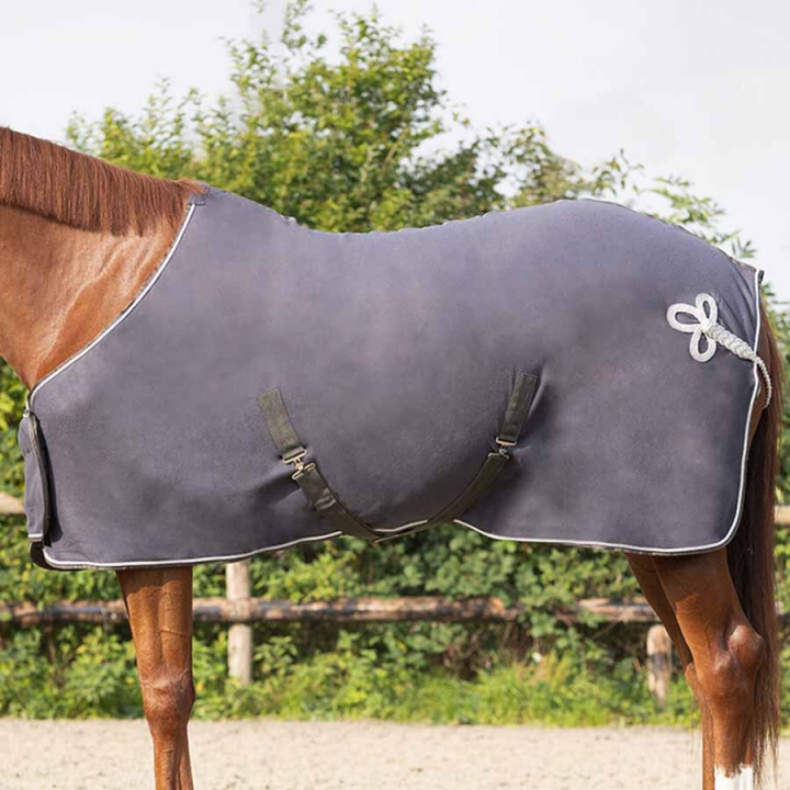 Couverture polaire Ornament Gris/Argent dans le groupe Couvertures cheval / Couverture polaire & séchante chez Equinest (6014GRSI)