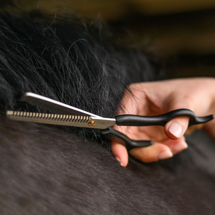 Ciseaux désépaississants Thinning Shears Noir dans le groupe Produits de soins / Brosses et étrilles / Ciseaux & Couteaux de chaleur chez Equinest (603300BA)