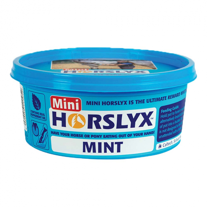 Bloc Lécheur Mini Menthe Équilibrant 650 g dans le groupe Compléments alimentaires / Compléments alimentaires pour chevaux / Blocs & Pierre à sel chez Equinest (603327-MINT)