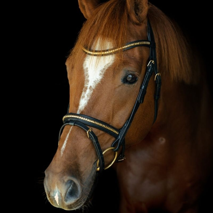 Bridon HS Clincher Aachen Noir dans le groupe Équipement cheval / Briderie & Frontaux / Brides chez Equinest (603350BA_r)