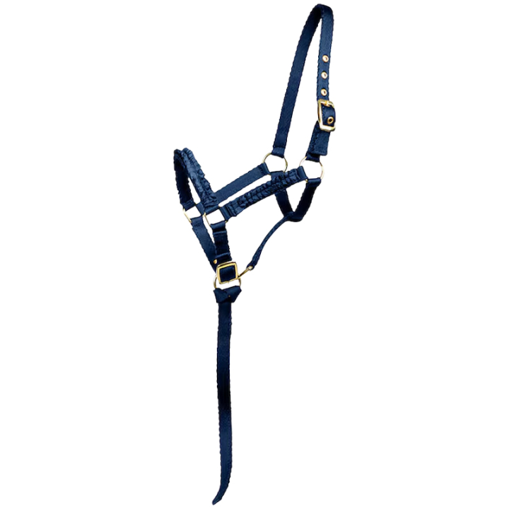 Licol pour poulain HS Non doublé Bleu dans le groupe Équipement cheval / Licols / Longes pour poulains chez Equinest (603426BL_r)