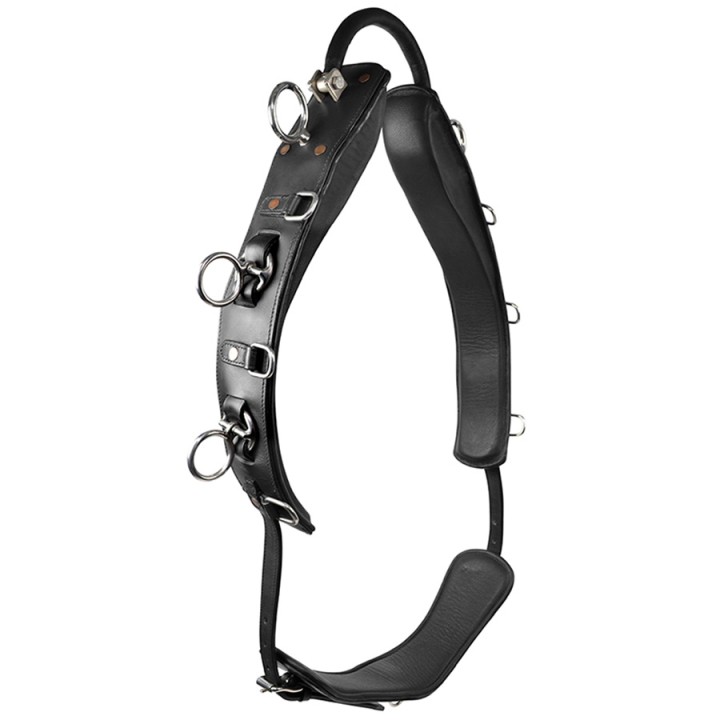 Sangle de longe avec Arc HS Noir dans le groupe Équipement cheval / Travail à pied chez Equinest (603953BA)