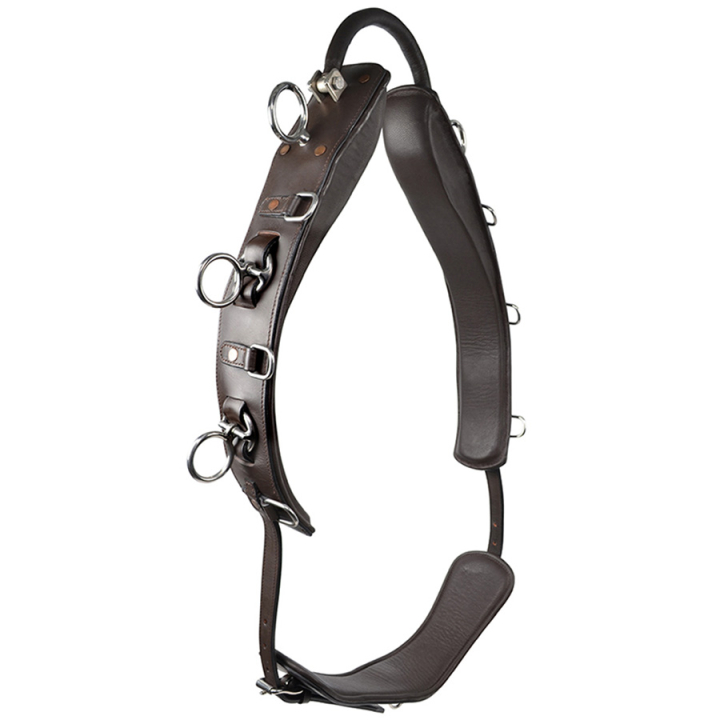 Sangle de longe avec Arc HS Marron dans le groupe Équipement cheval / Travail à pied chez Equinest (603954BR)