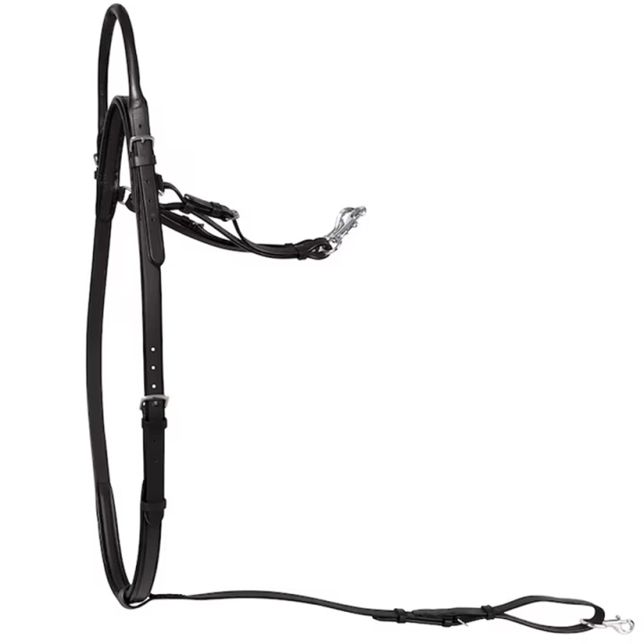 Sangle de cou avec poignée HS Marron dans le groupe Équipement cheval / Martingales & Enrênements / Colliers de chasse chez Equinest (604110BR)