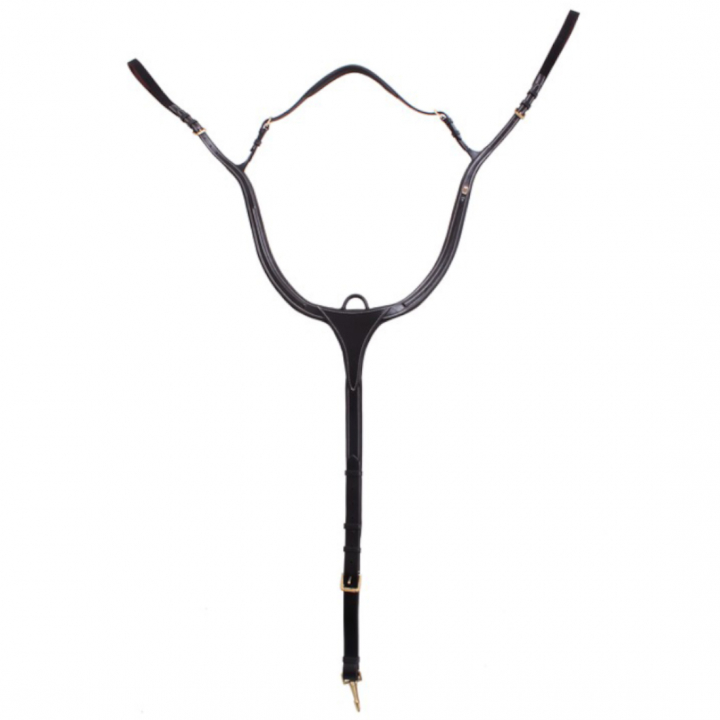 Sangle avec Logo E en Laiton/Noir dans le groupe Équipement cheval / Martingales & Enrênements / Colliers de chasse chez Equinest (610001000203BA)