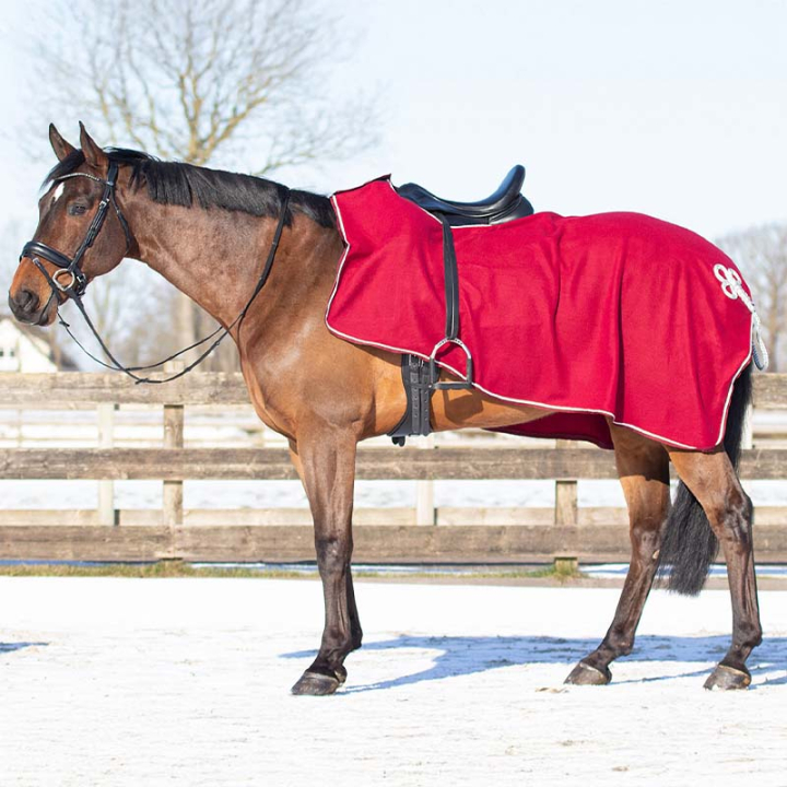 Couvertures de Marcheur Ornament Fleece Bordeaux/Argent dans le groupe Couvertures cheval / Couvertures de marcheur & couvre-reins chez Equinest (6106BOZILWN_r)