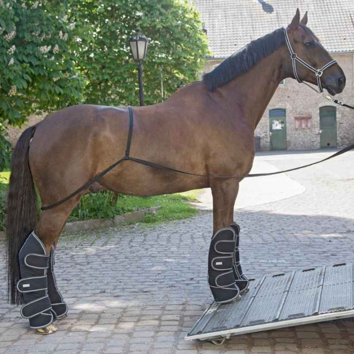 Aide au chargement Transport Aid Noir dans le groupe Équipement cheval / Transport chez Equinest (6178200BA)