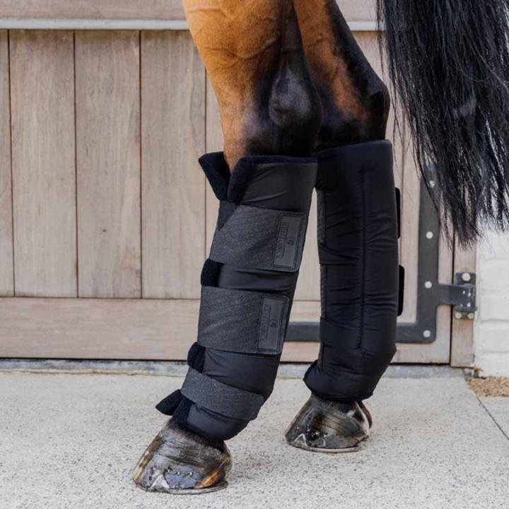 Guêtres d'écurie PROtect Classic Hind Noir dans le groupe Équipement cheval / Protections des Membres / Protections de transport & d'écurie chez Equinest (6210901LBA_r)