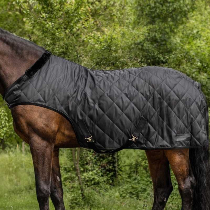 Couverture pour marcheur Exclusive 50g Noir dans le groupe Couvertures cheval / Couvertures pour marcheur chez Equinest (63306011BA_r)