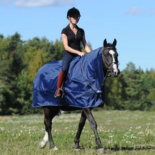 Protège-pluie Marinblå dans le groupe Couvertures cheval / Couvertures de sortie & couvre-reins chez Equinest (642_M_r)