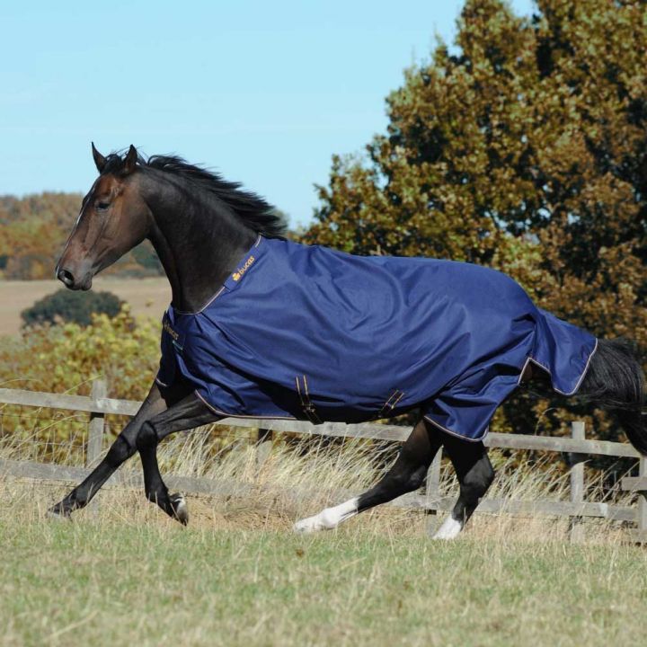 Couverture d'hiver Irish Turnout 150g Bleu marin/Or dans le groupe Couvertures cheval / Couvertures d'extérieur / Couvertures d'hiver chez Equinest (65900-150-Ma_r)