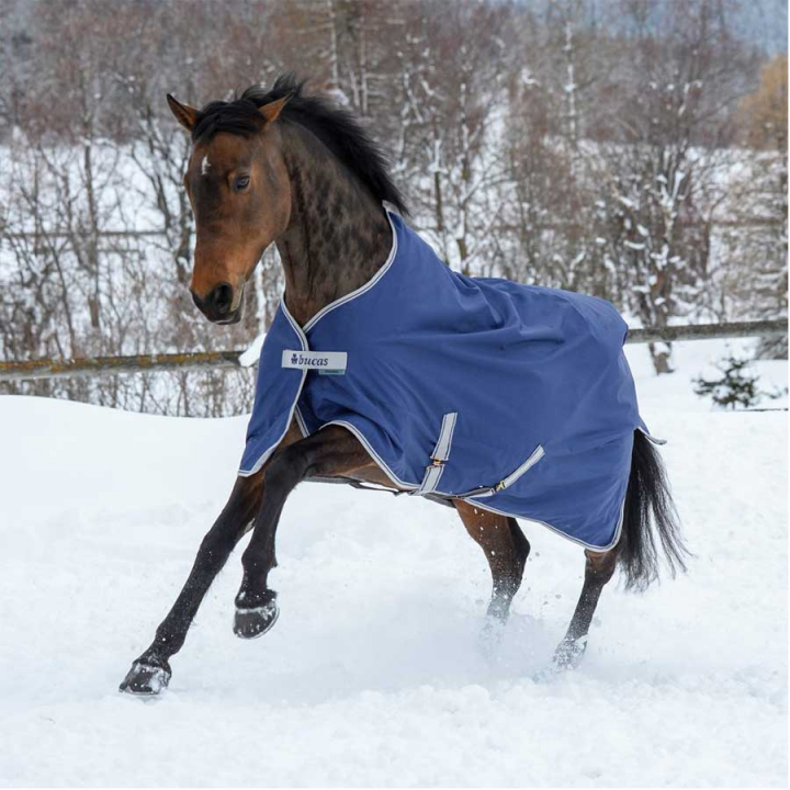 Couverture d'hiver Pony Freedom Turnout 150g Bleu Marine dans le groupe Couvertures cheval / Couvertures d'extérieur / Couvertures d'hiver chez Equinest (66300P-150-Ma_r)