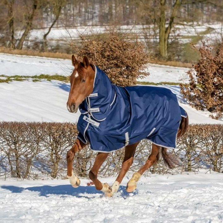 Couverture d'hiver avec cou Freedom Turnout 300g Bleu Marine dans le groupe Couvertures cheval / Couvertures d'extérieur / Couvertures d'hiver chez Equinest (67325-300-Ma_r)