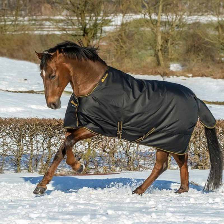 Couverture d'hiver Irish Turnout 250g Noir/Or dans le groupe Couvertures cheval / Couvertures d'extérieur / Couvertures d'hiver chez Equinest (6761522BAGO_r)