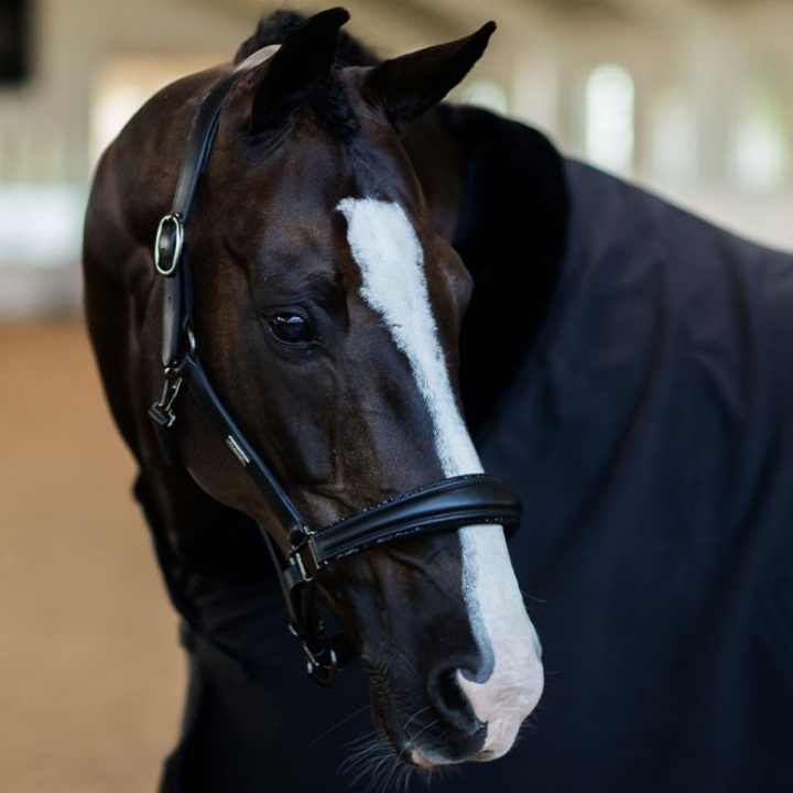 Halter en cuir anatomique ES Glimmer Black Edition dans le groupe Équipement cheval / Licols / Longes en cuir chez Equinest (734020642359BA_r)