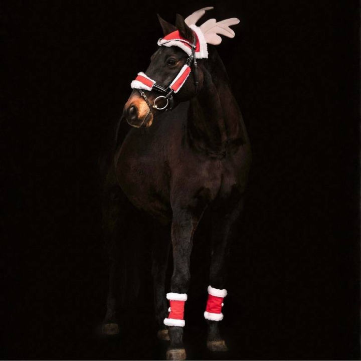 Christmas Set 6 pièces Rouge/Blanc dans le groupe Occasions spéciales & Costumes chez Equinest (7464801REWH)