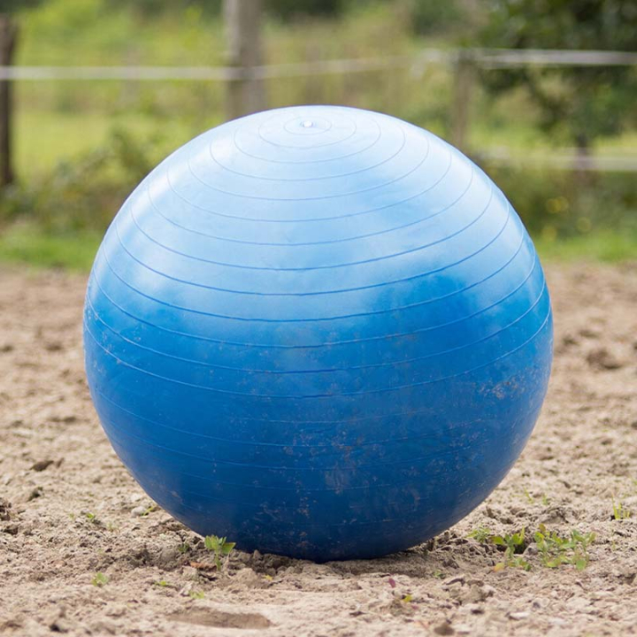 Football équestre Bleu dans le groupe Écurie & Pré / Jouets pour chevaux chez Equinest (8005BL80100BL)