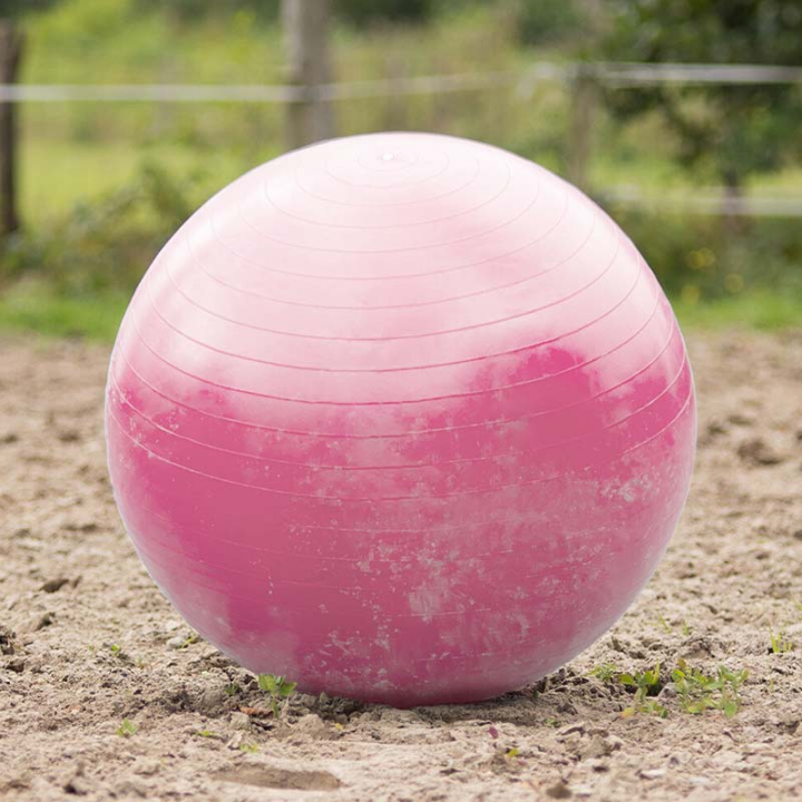 Football équestre Rose dans le groupe Écurie & Pré / Jouets pour chevaux chez Equinest (8005RZ80100PI)