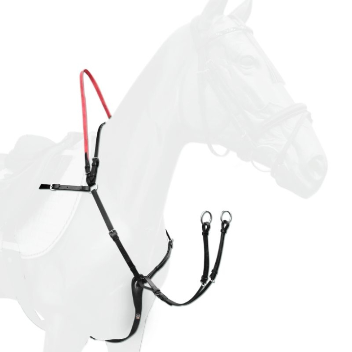 Collier de chasse Safety Rein Secutrust Noir dans le groupe Équipement cheval / Martingales & Enrênements / Colliers de chasse chez Equinest (81051011BA_r)