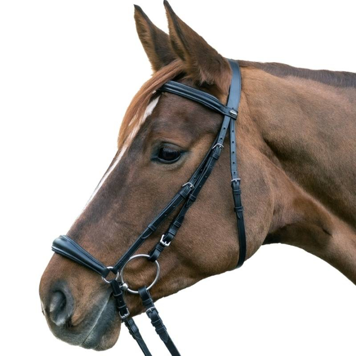 Bridon Hannover Noir dans le groupe Équipement cheval / Briderie & Frontaux / Brides chez Equinest (813801POBA_r)