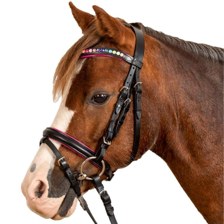 Bridon Pinky Noir/Rose dans le groupe Équipement cheval / Briderie & Frontaux / Brides chez Equinest (8142501MBAPI_r)