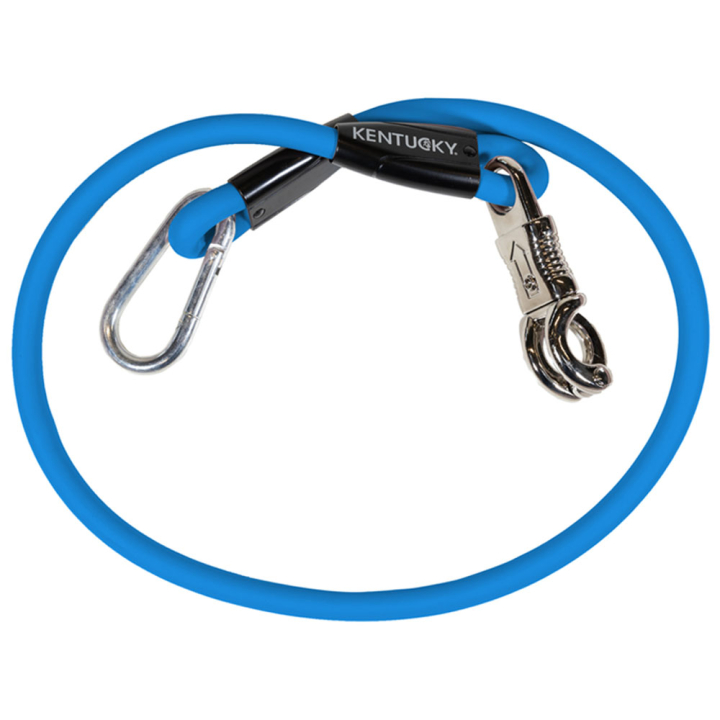 Corde d'attache Box Lead & Cross Silicone Bleu dans le groupe Équipement cheval / Longes et longes de transport / Longes de transport chez Equinest (821586255BL_r)